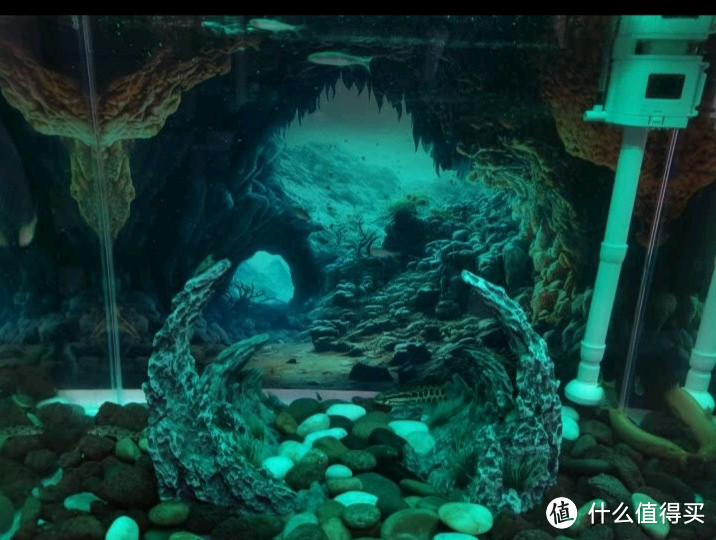 森森桌面超白鱼缸，打造你的私人水族馆！
