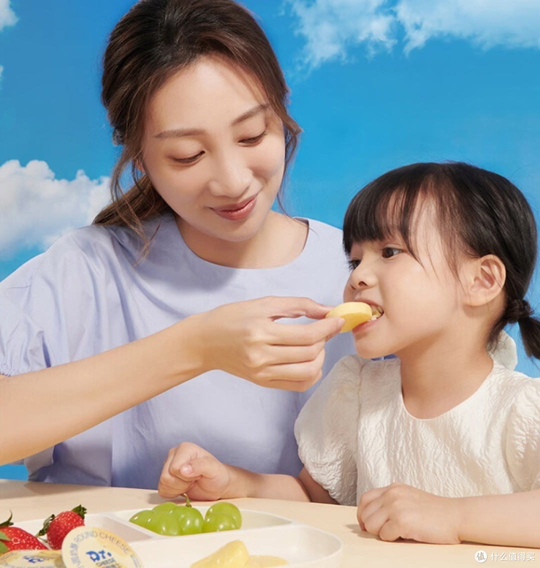 奶酪博士小圆奶酪:纯净营养,宝宝健康好选择