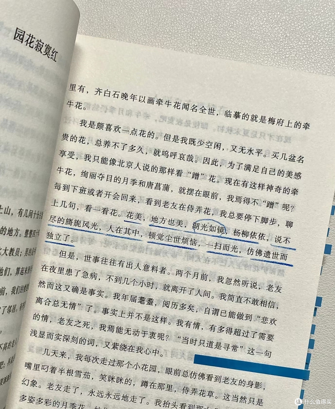 偶尔向生活请一个假
