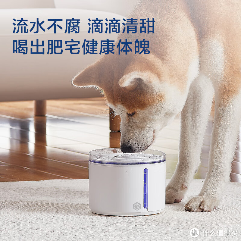 宠物智能饮水机：京东京造活泉自动饮水机，让爱宠喝出健康生活！