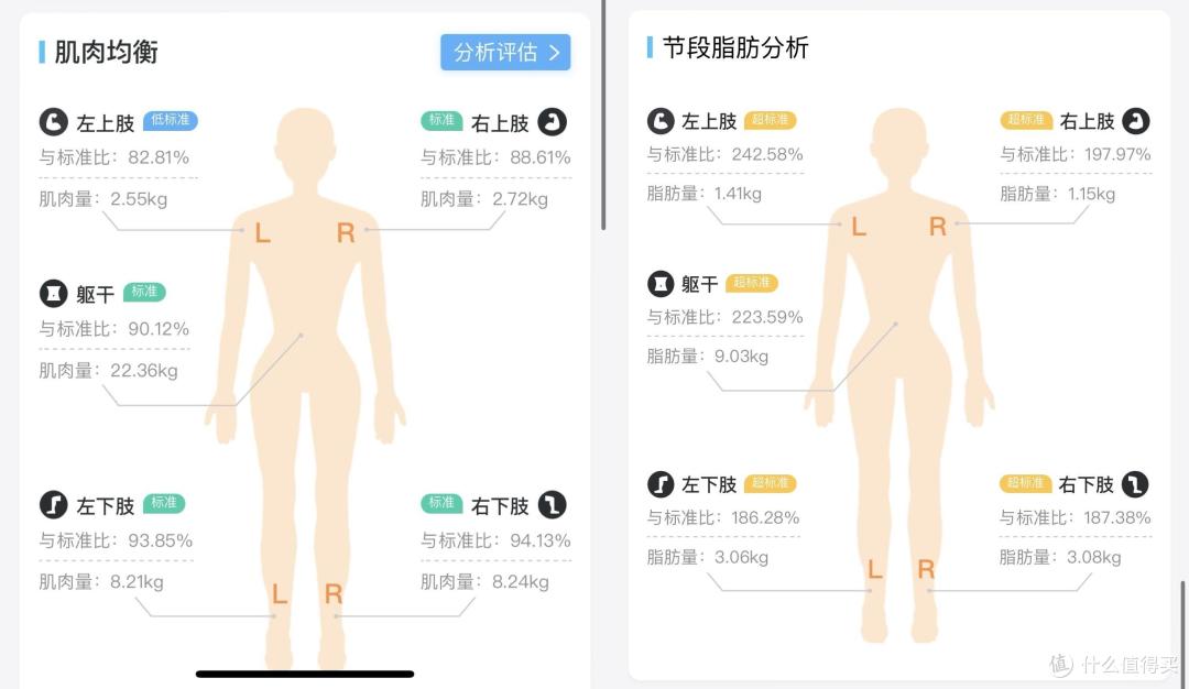 云康宝智能体脂秤:一键掌握全家人的健康数据
