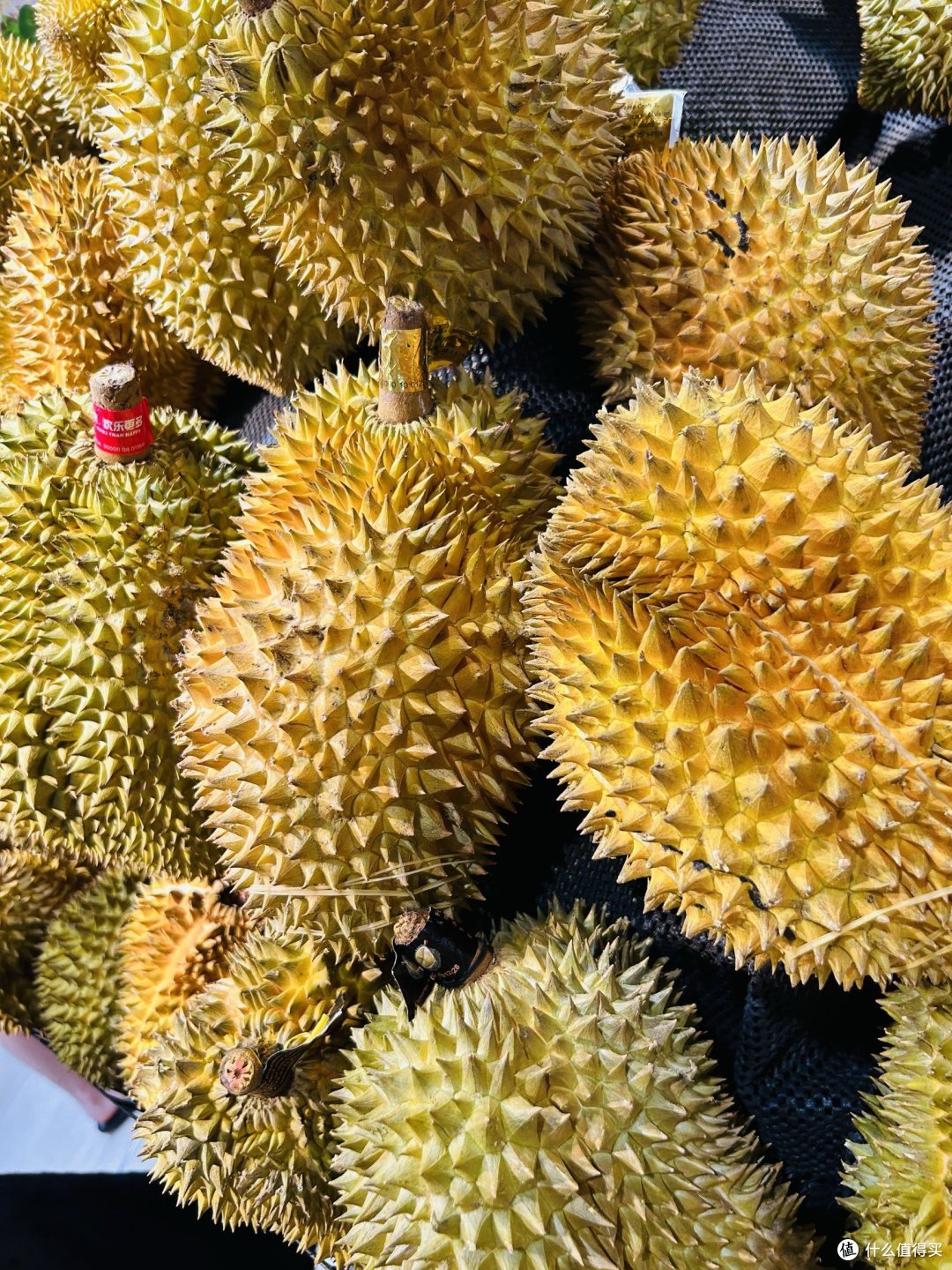 披着厚厚的铠甲,里面却是营养丰富的美味