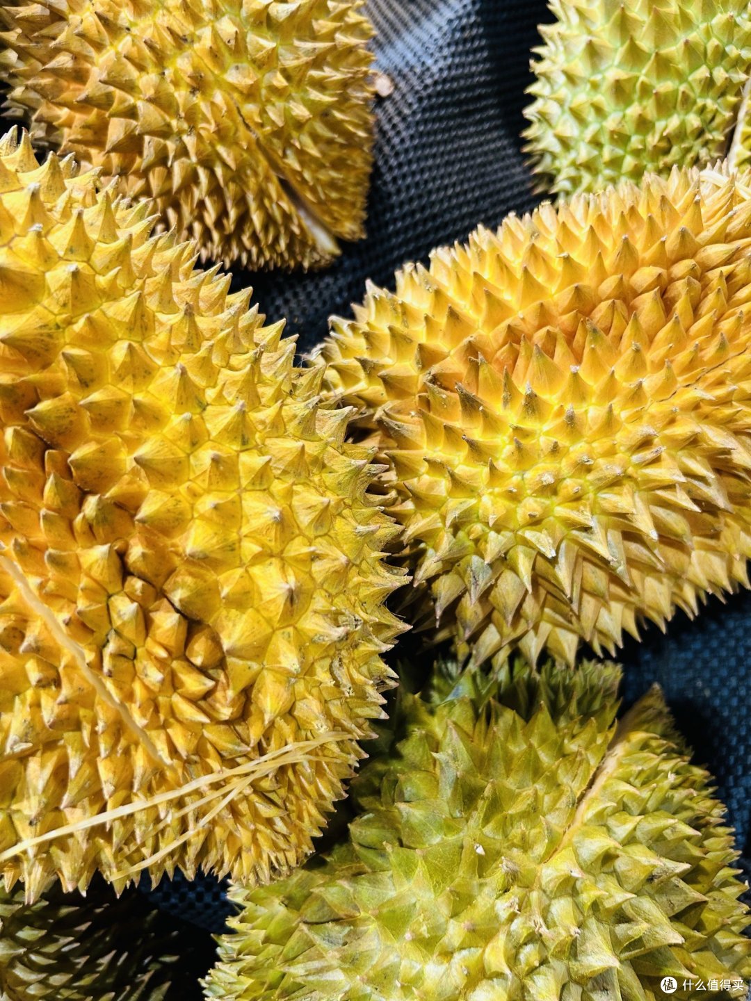 披着厚厚的铠甲,里面却是营养丰富的美味