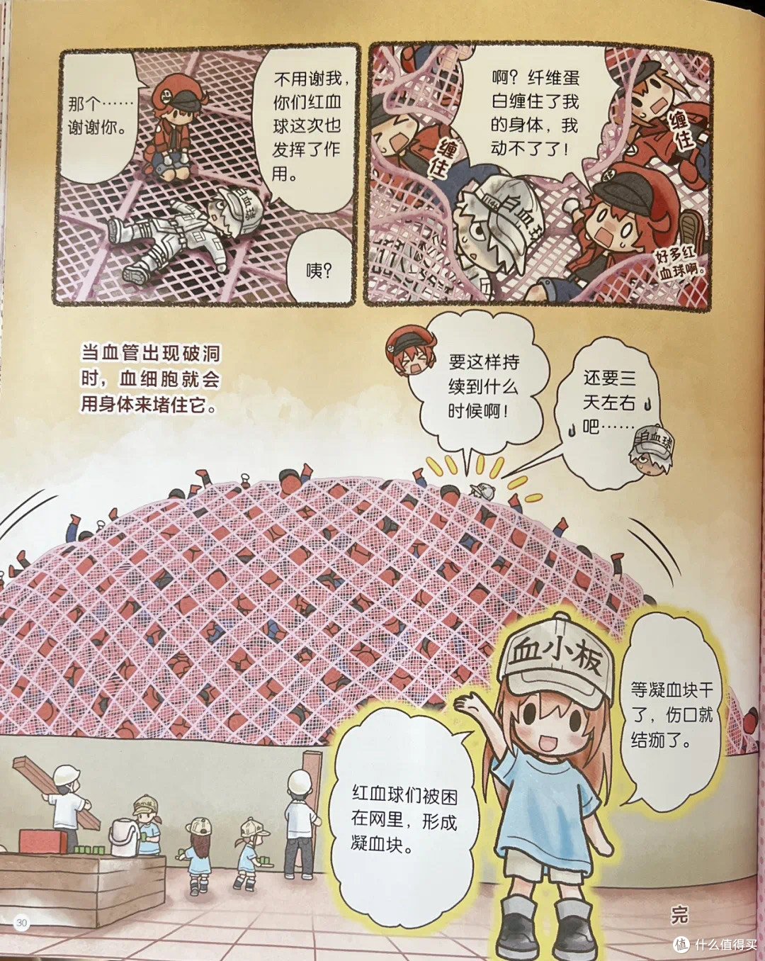 618购后晒：好书推荐-工作细胞