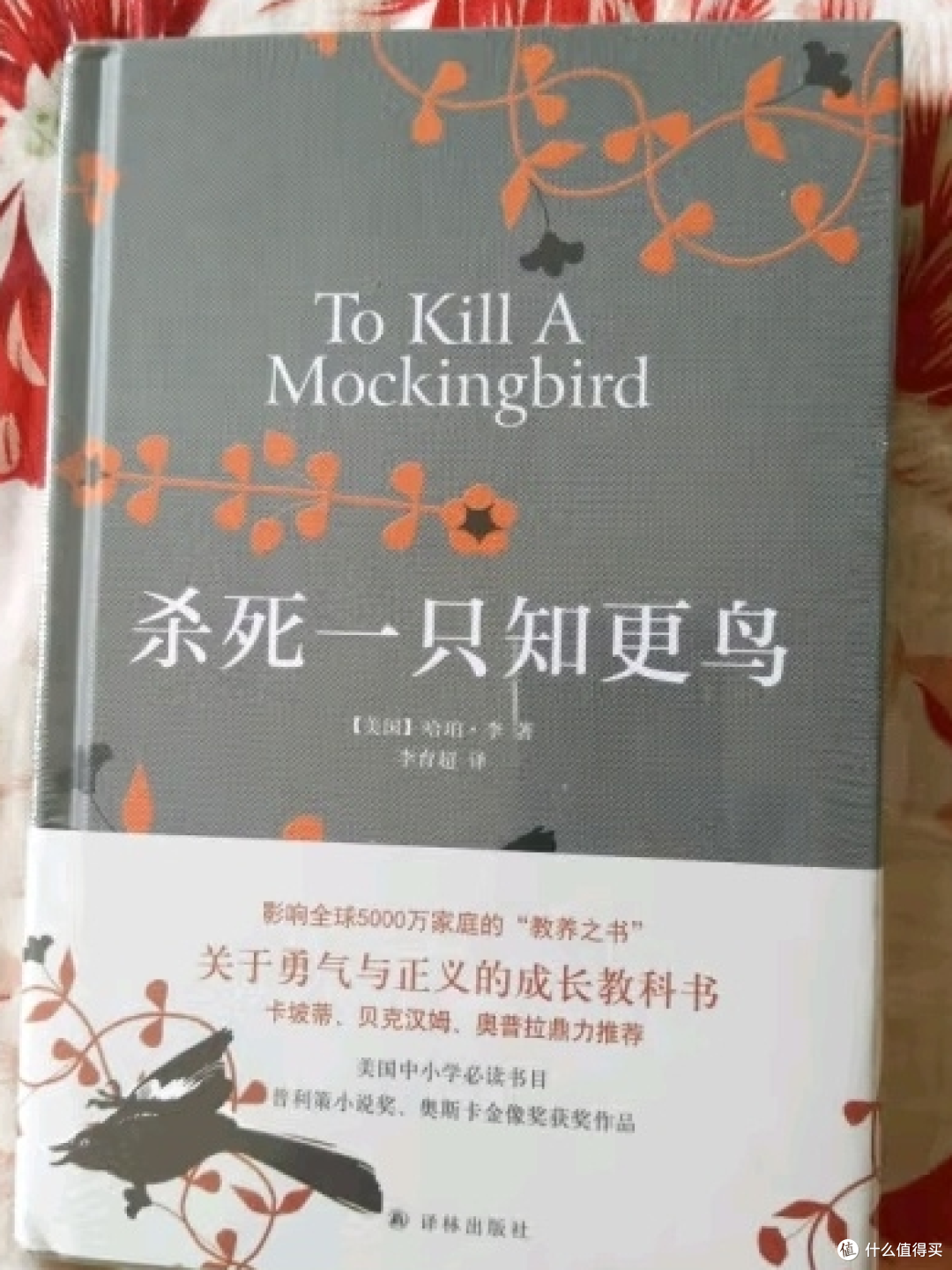 《杀死一只知更鸟》