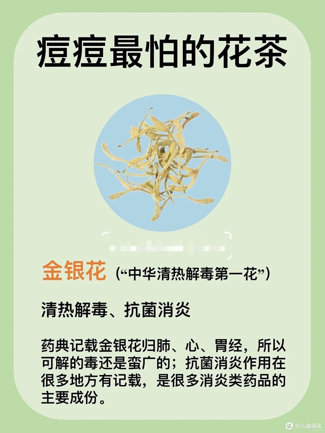 干货收藏,痘痘最害怕的养生花茶,快快喝起来!