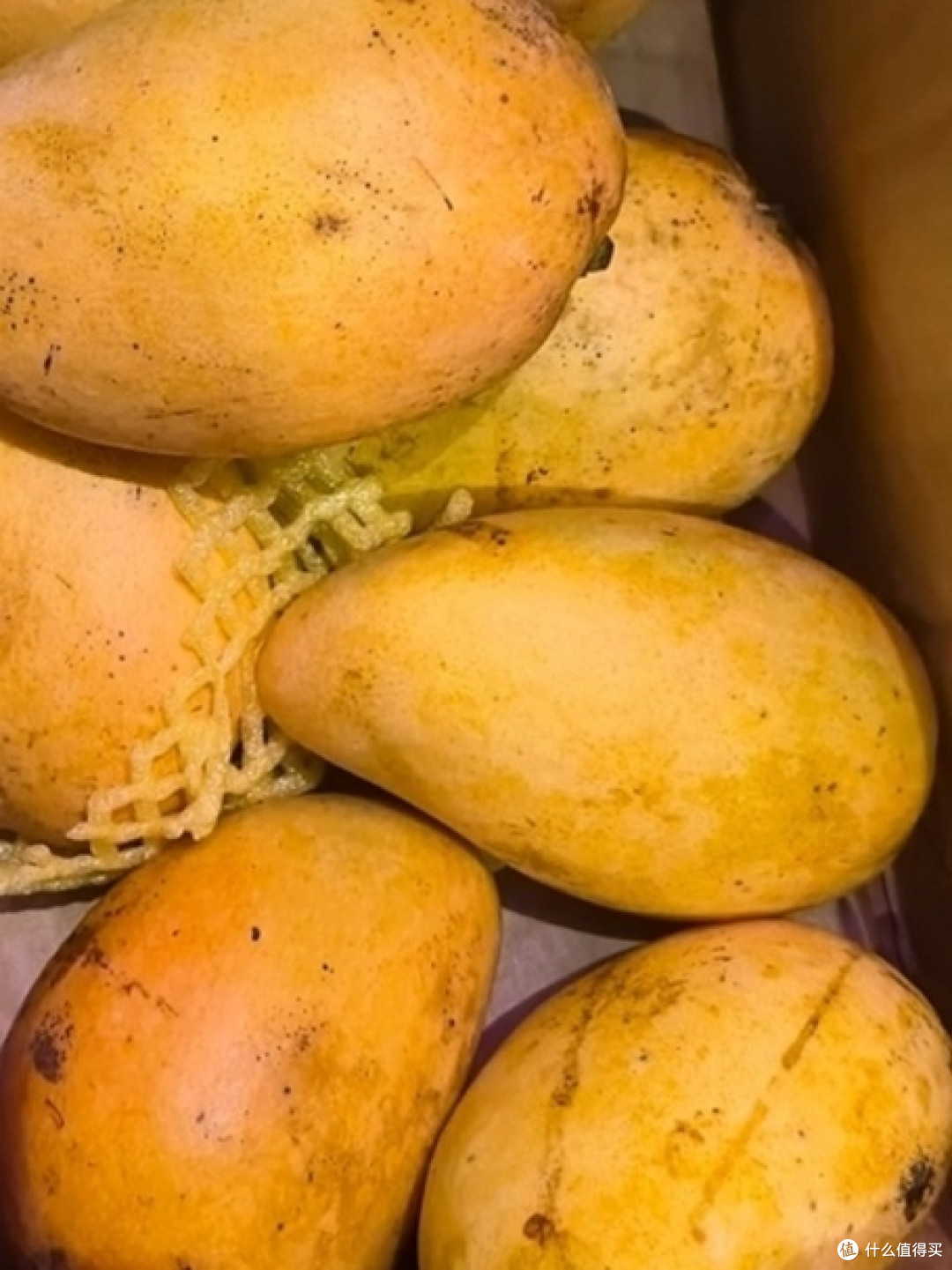 小台芒