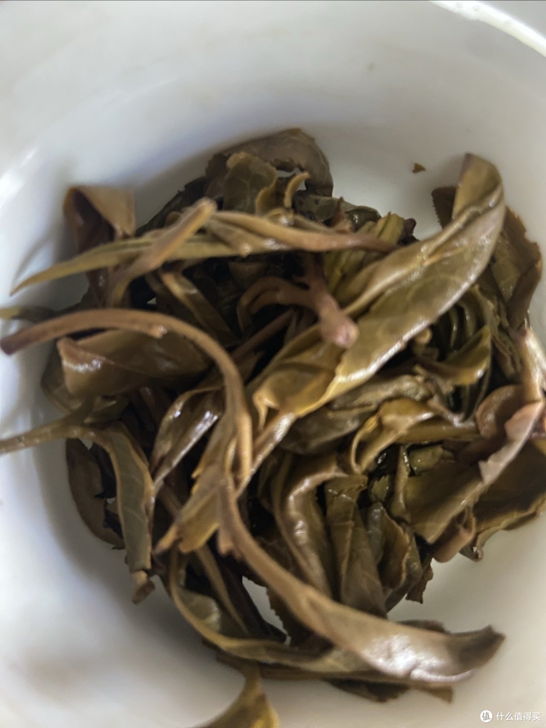 9527的普洱茶小记 —忙肺23年古树龙珠