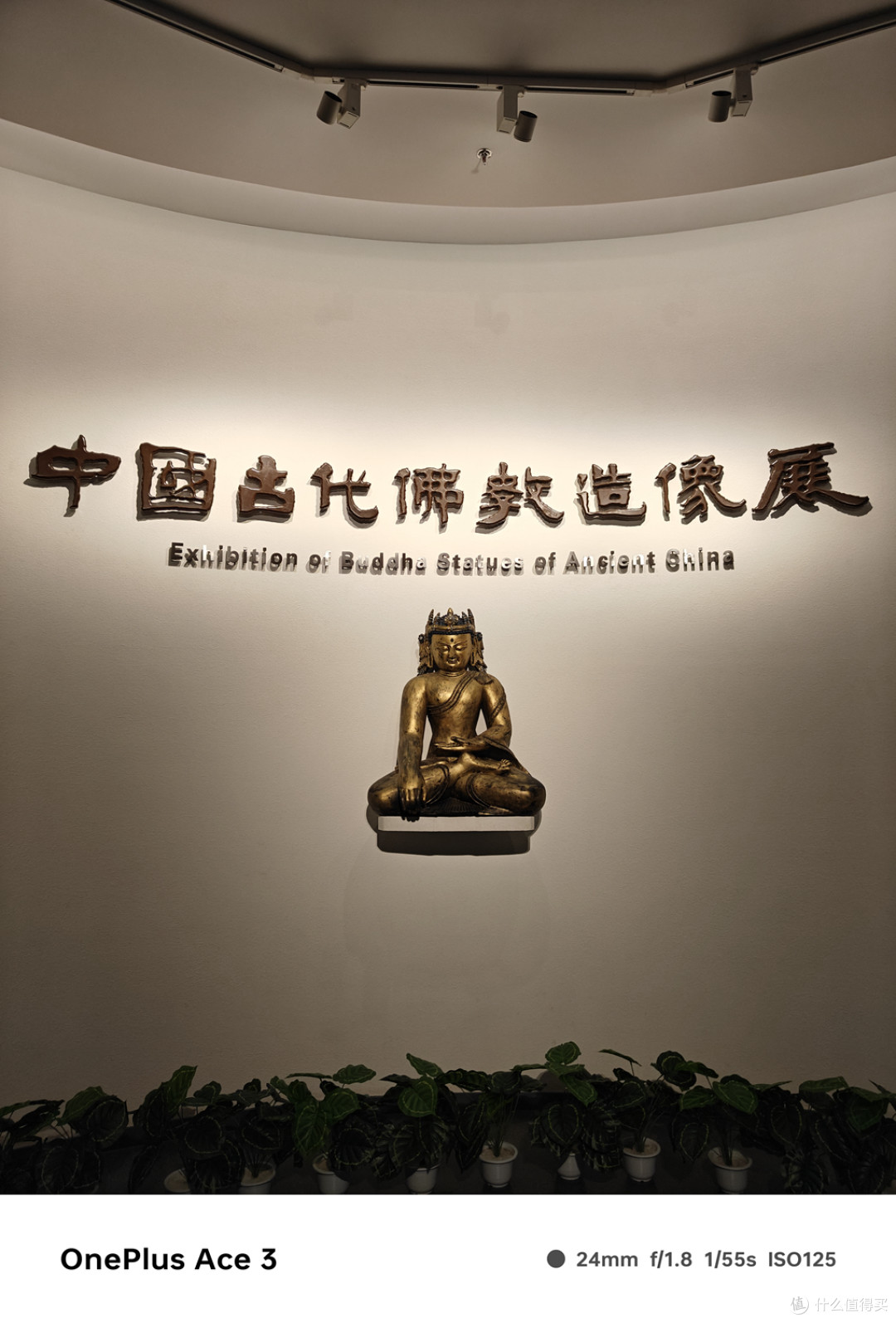 山东青岛人第一次来沈阳,如何用三天就爱上这座城市
