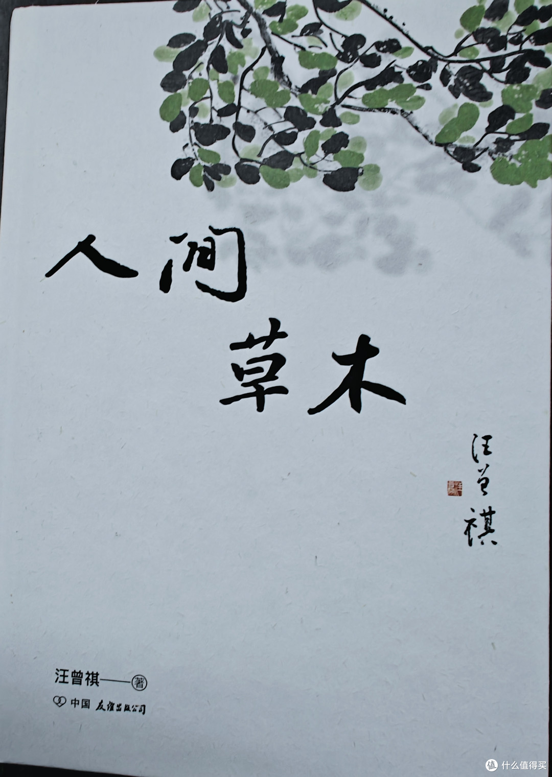 《人间草木》：走进植物的世界，发现生命奥秘！