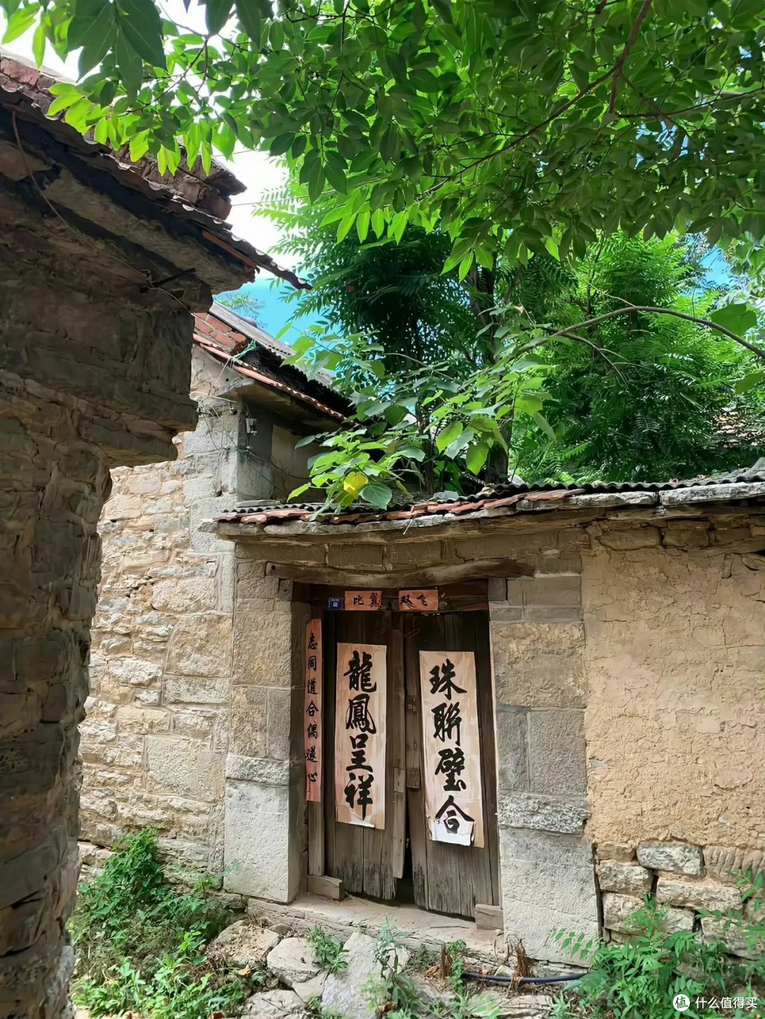 农村的风景并不惊艳,却很治愈🍒🥦🥬🥒🥕 