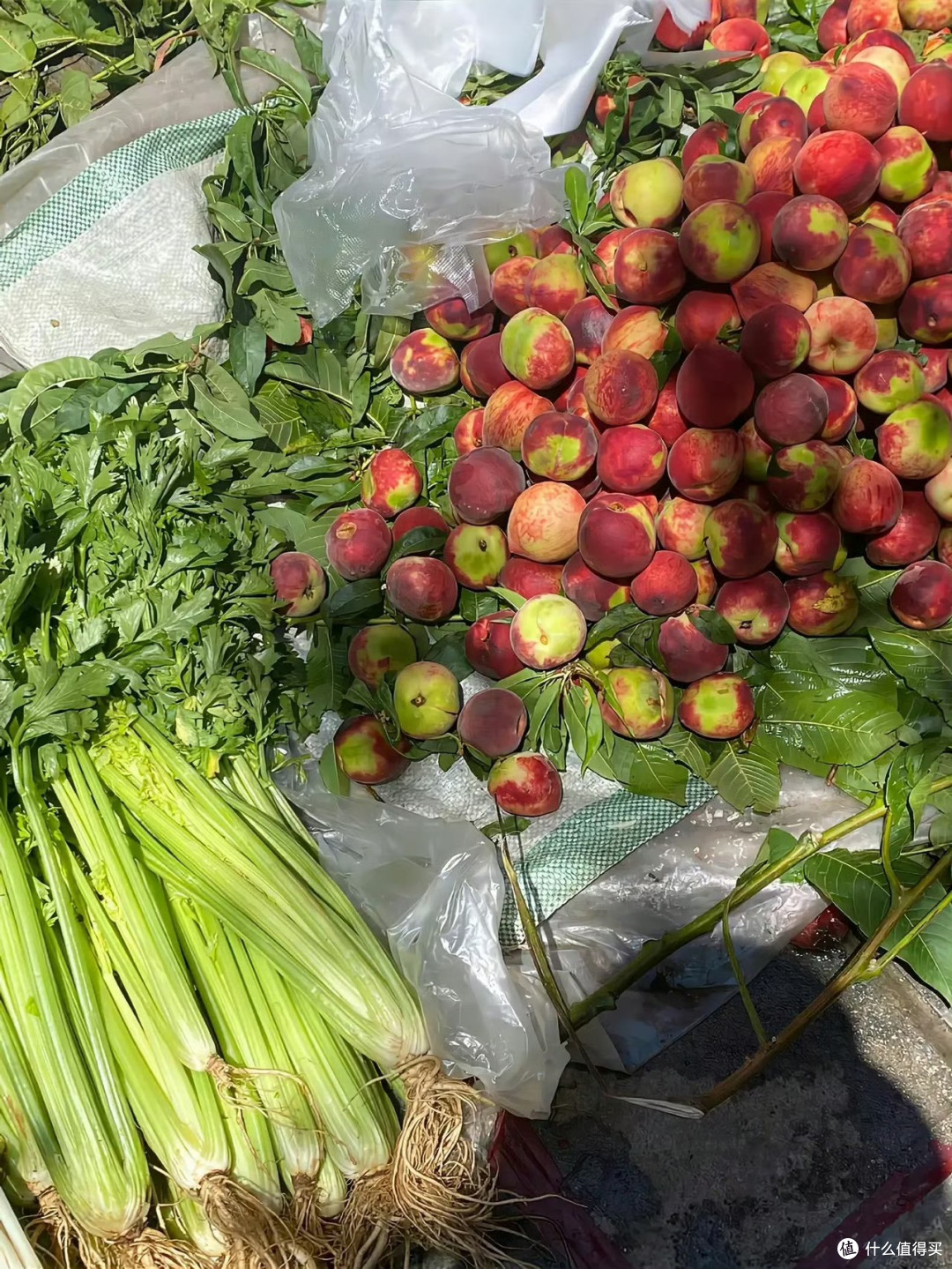 农村的风景并不惊艳,却很治愈🍒🥦🥬🥒🥕 