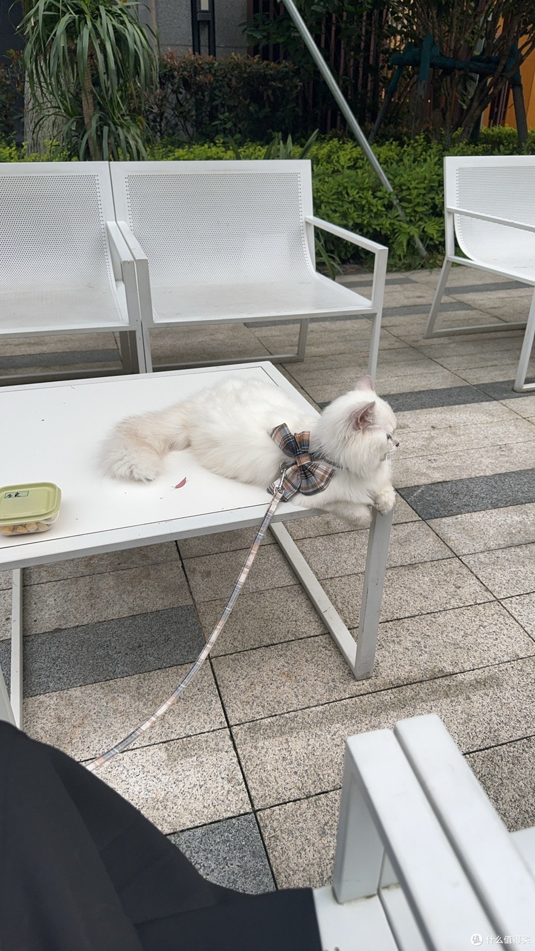 看看人