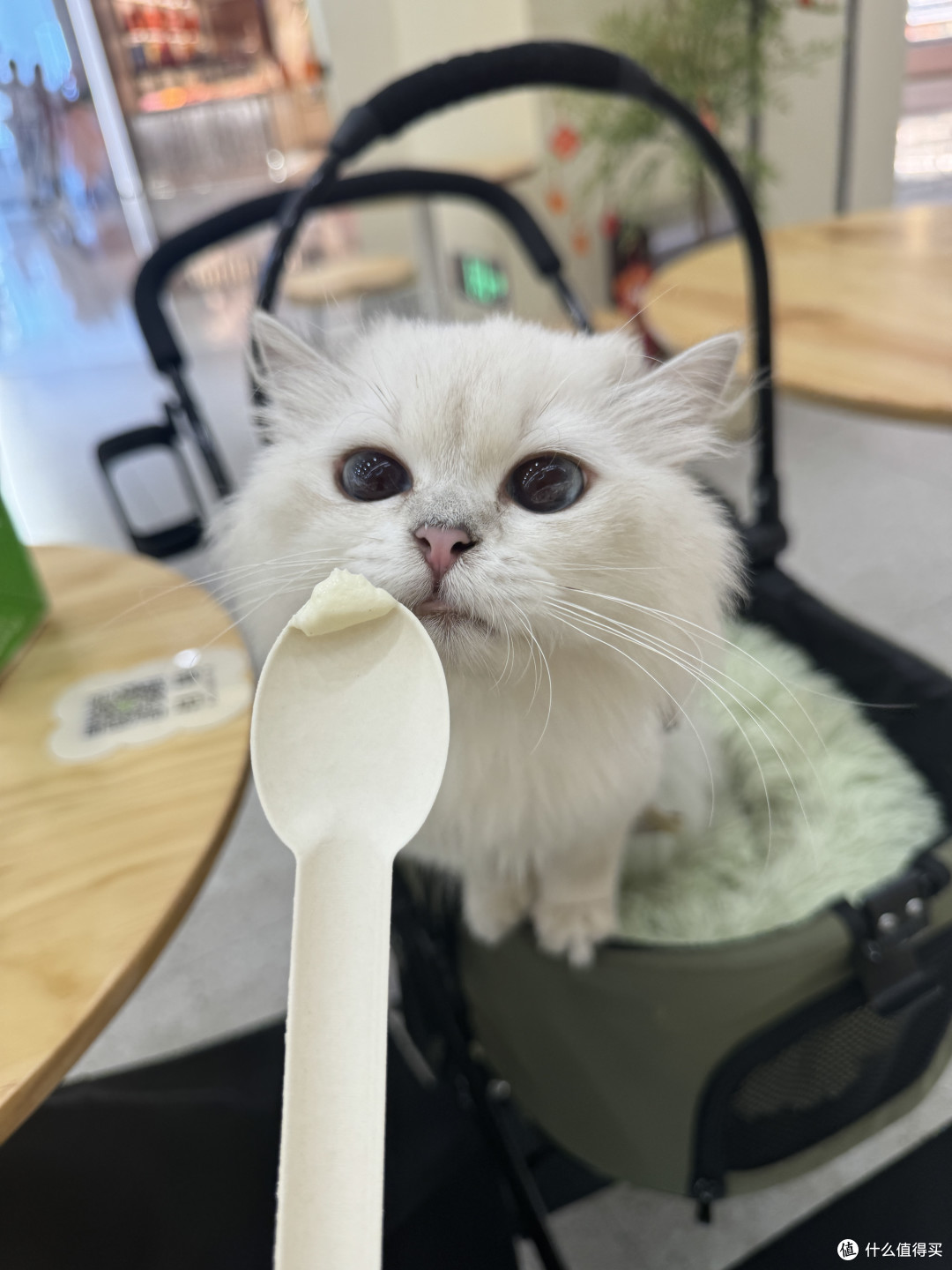自己吃的也给孩子尝尝