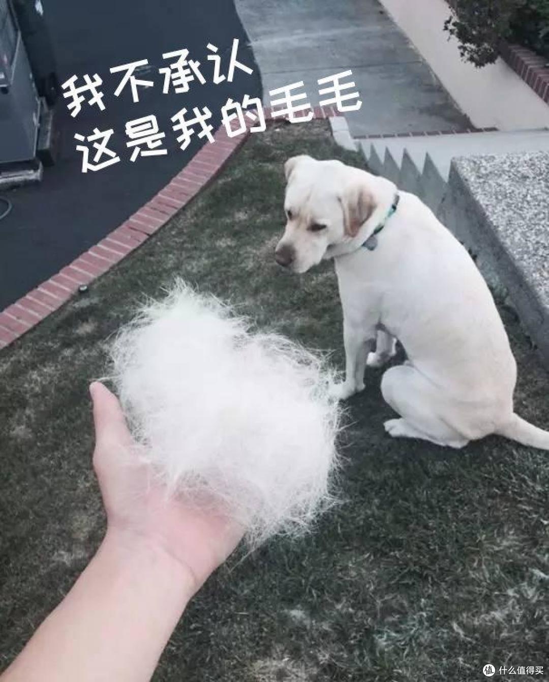 滚筒洗衣机这8个使用坏习惯,不仅洗不干净衣物,还会损坏机器