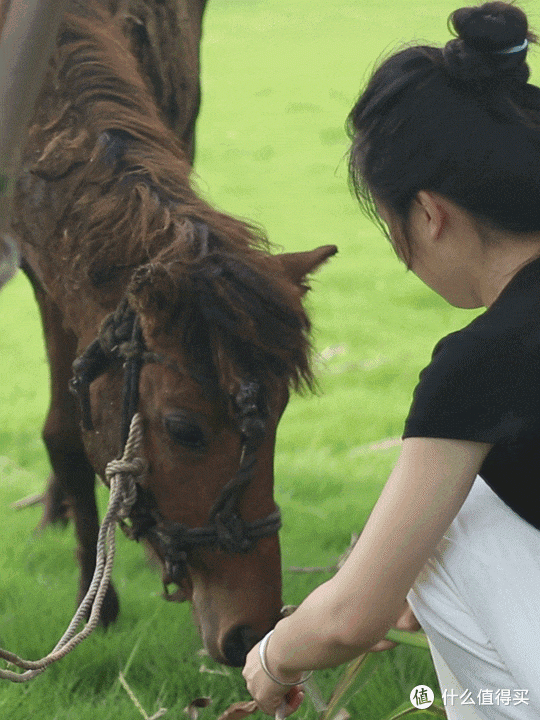 贵港山边村治愈美景:寻找《我的阿勒泰》同款自由与美好