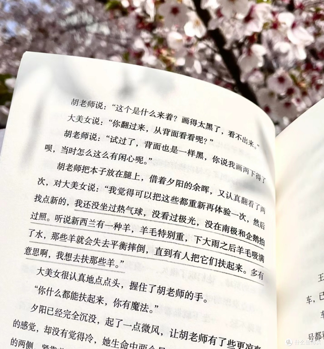 沉默时，请大声朗读情书
