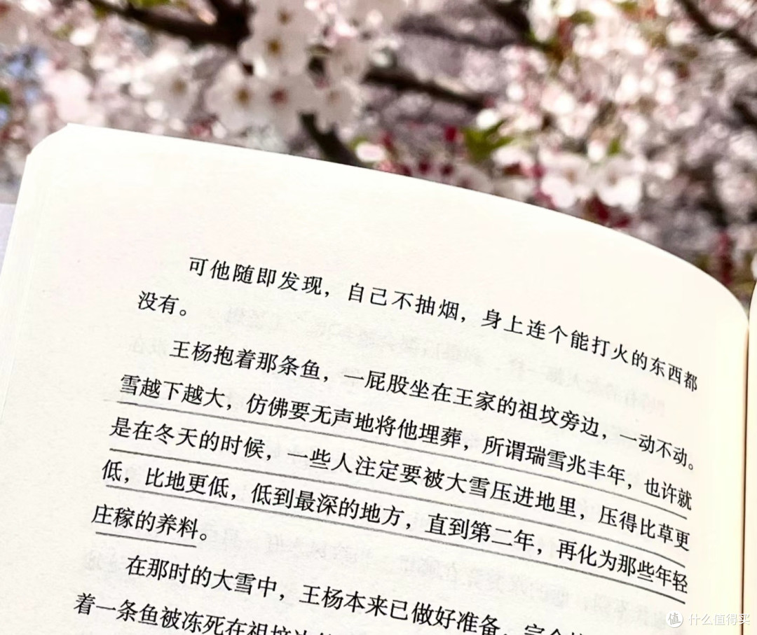 沉默时，请大声朗读情书