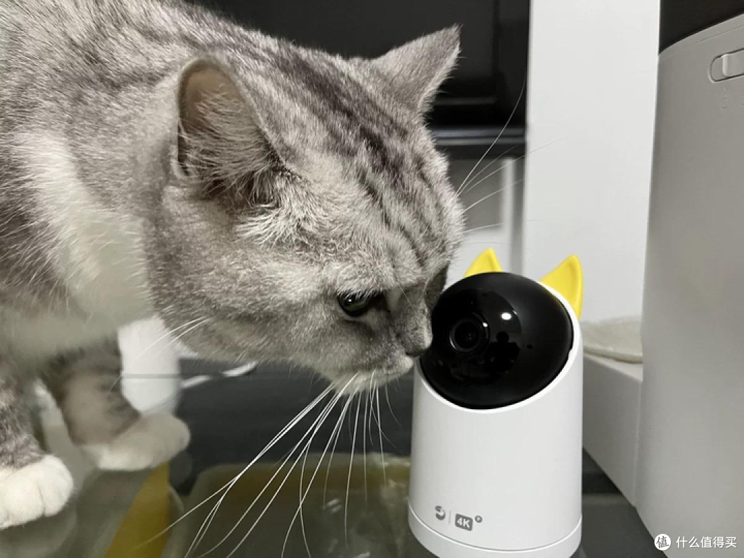 【摄像头测评】华为智选 海雀全场景摄像头：后mate60时代，再续华为传奇，全方位严苛测评