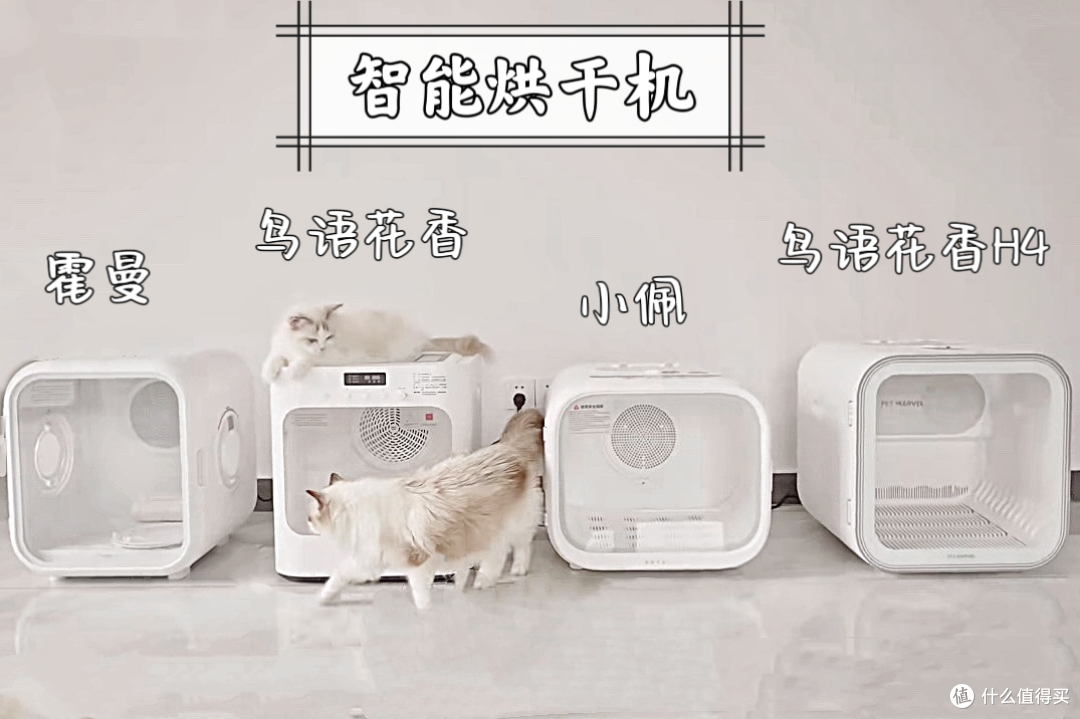 618宠物用品选得好，养宠生活没烦恼！宠物用好一点，自己轻松一点是一点！