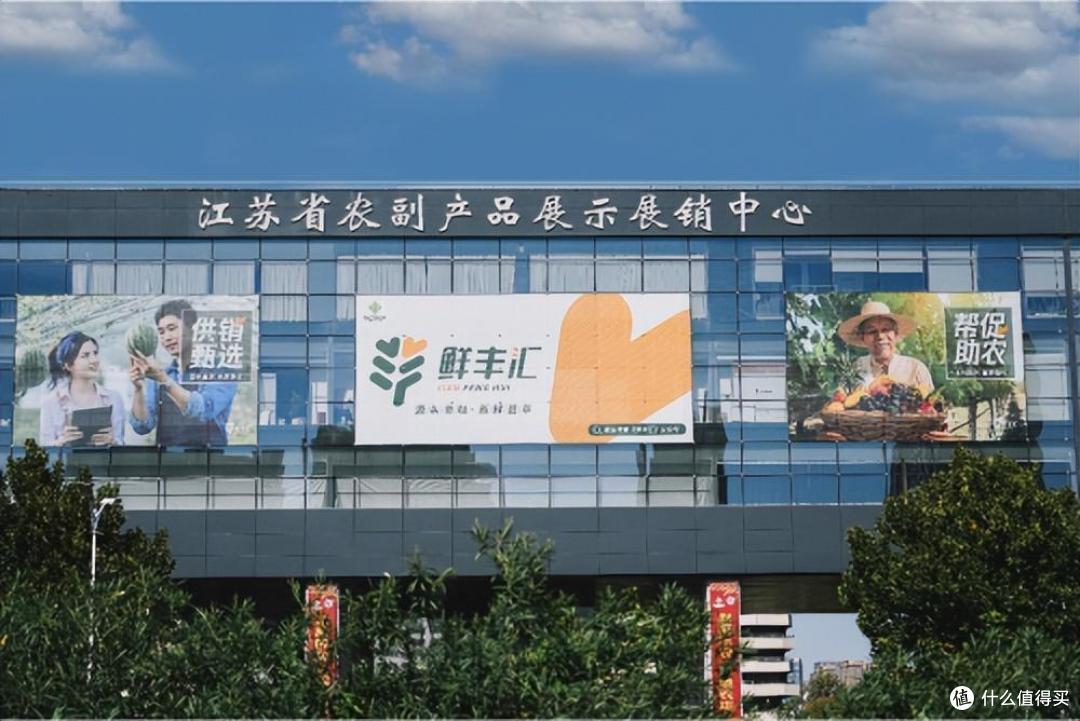 江苏苏合与广西壮乡皇携手,共创农副产品销售新篇章