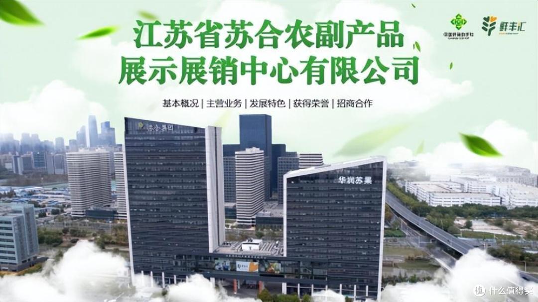 江苏苏合与广西壮乡皇携手,共创农副产品销售新篇章