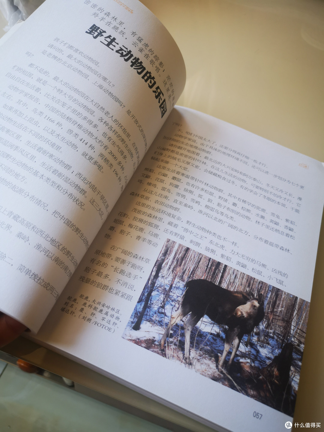 爷爷讲述中国地理