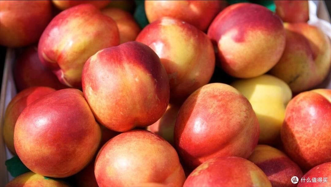 风物中国 篇十七:中国哪的"油桃"最好吃?