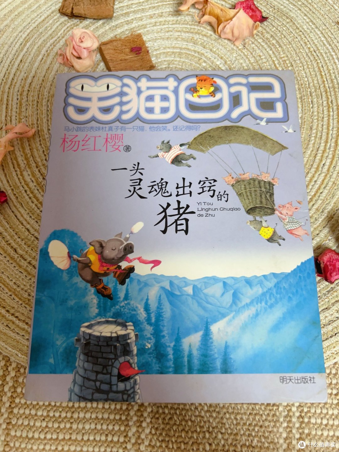 儿童快乐阅读:《笑猫日记》的心灵之旅