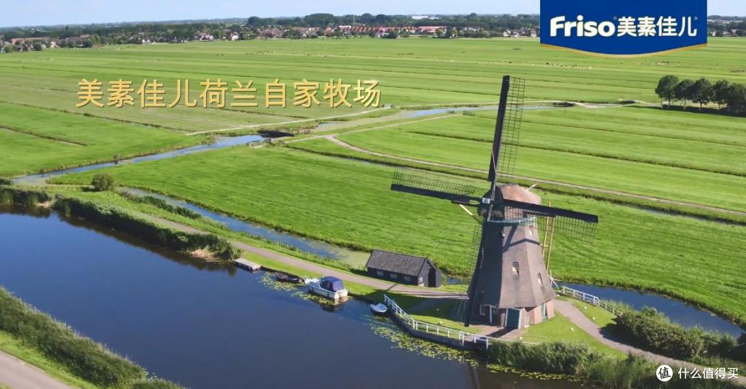2024最新出炉!婴幼儿奶粉排行榜Top10精选推荐