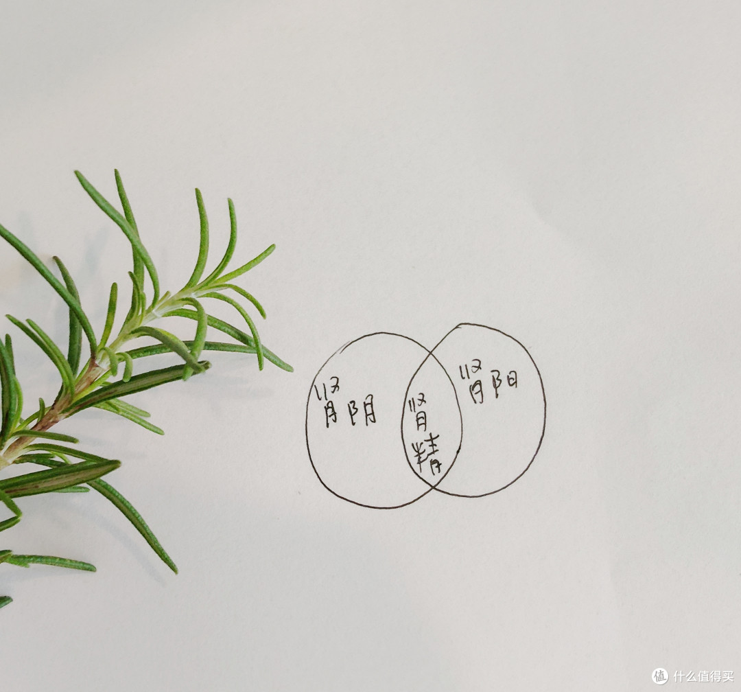 你猜，为什么有的人四十就秃了，而有的人五六十还满头黑发