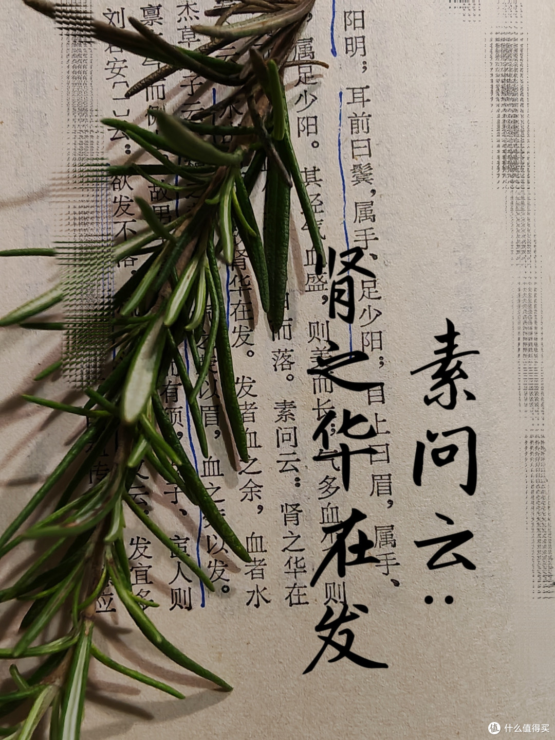 你猜，为什么有的人四十就秃了，而有的人五六十还满头黑发