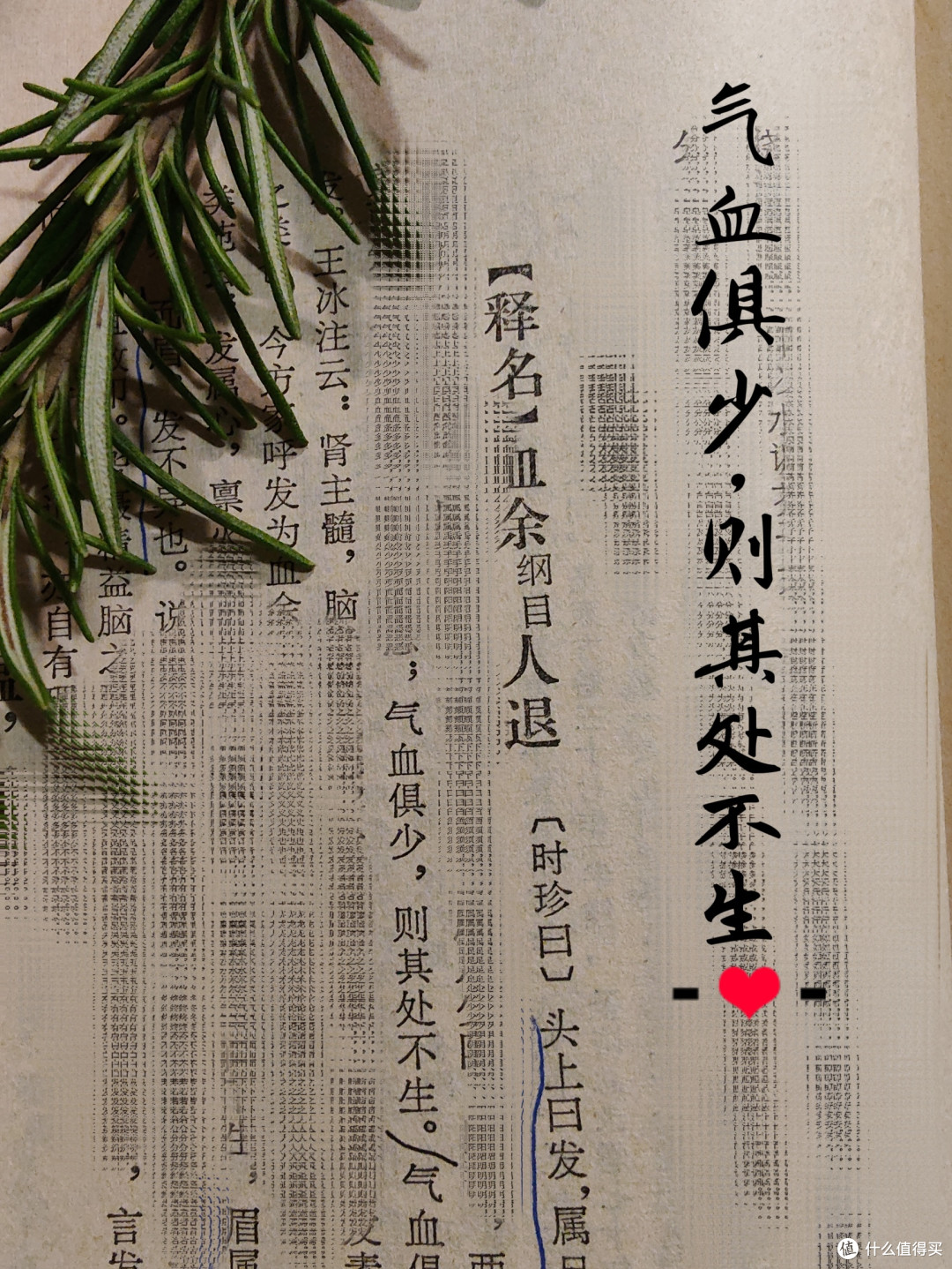 你猜，为什么有的人四十就秃了，而有的人五六十还满头黑发