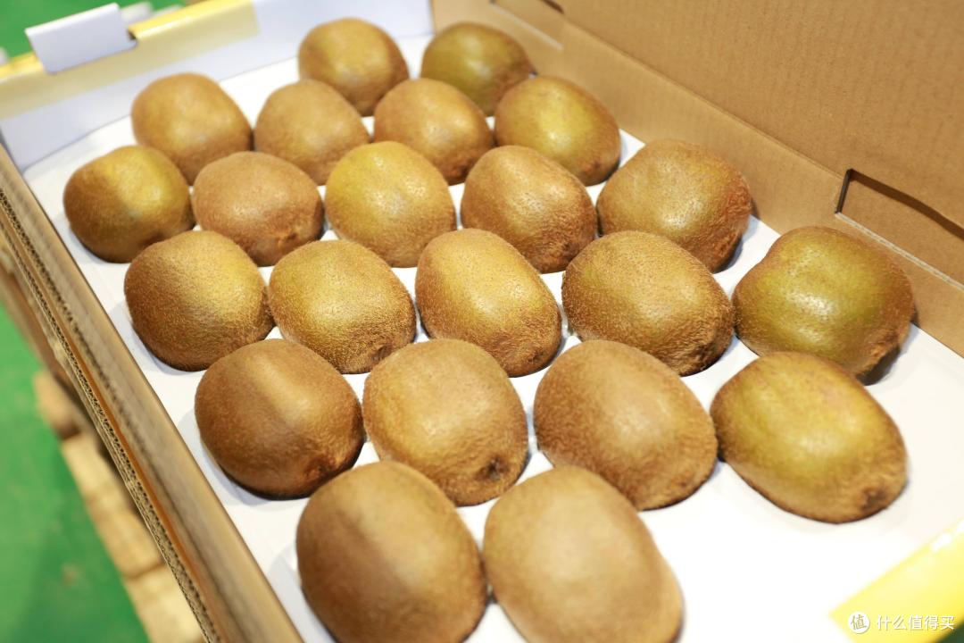 "陕a"到"陕k",陕西10城,哪的美食最好吃?山东老乡讲给您听