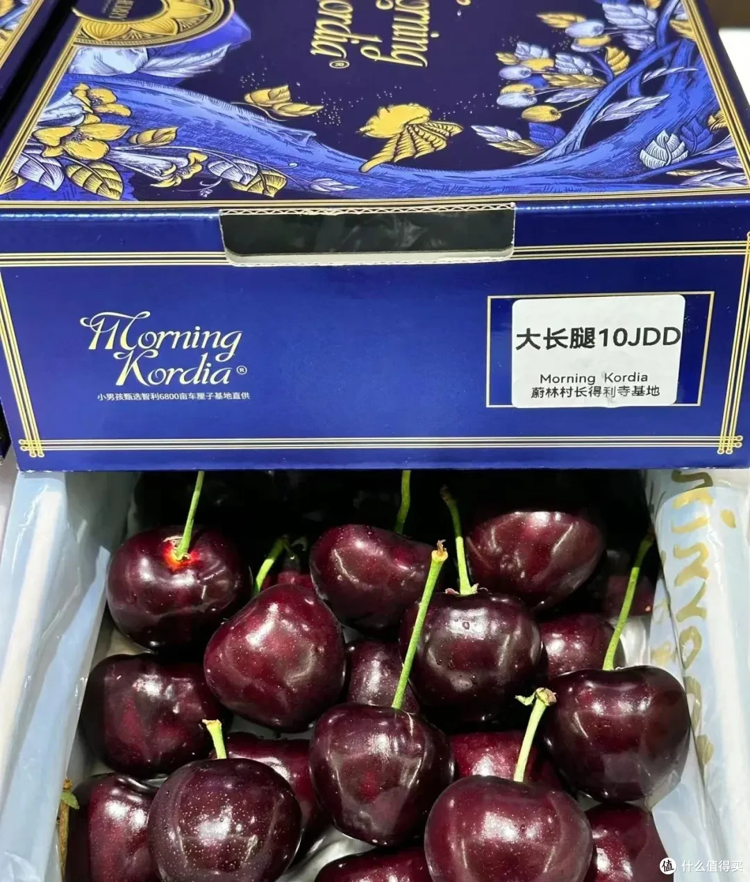 贵价水果降价了?是时候开始实现“水果自由”