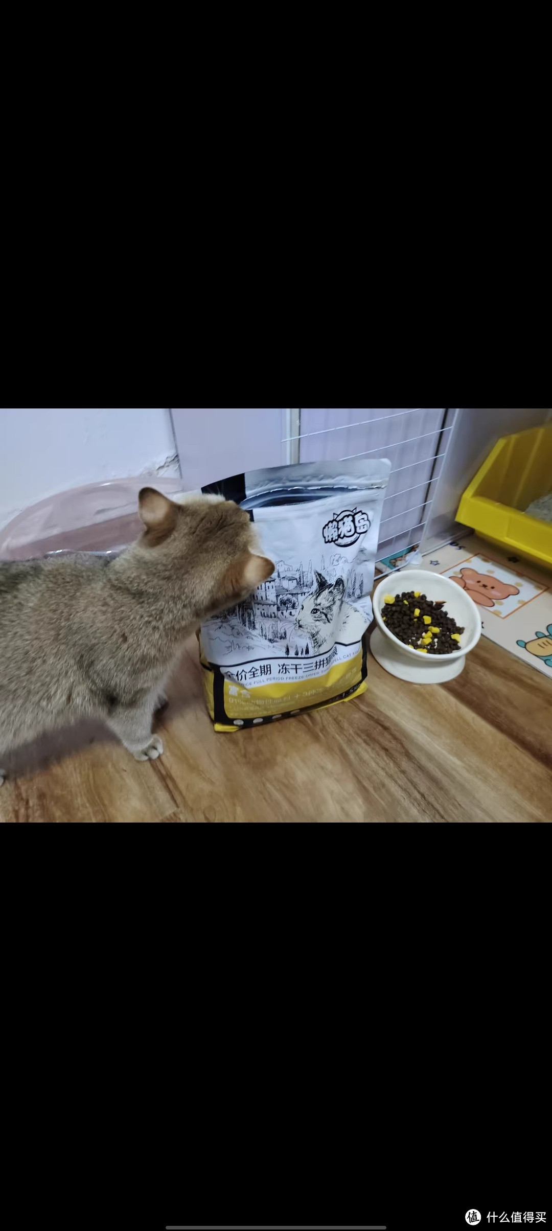 whycat猫粮成猫幼猫增肥发腮营养全阶全期冻干三拼鲜肉主食懒猫岛