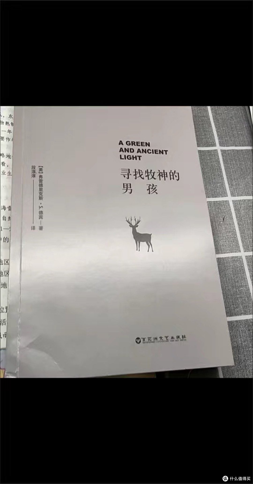 《寻找牧神的男孩》