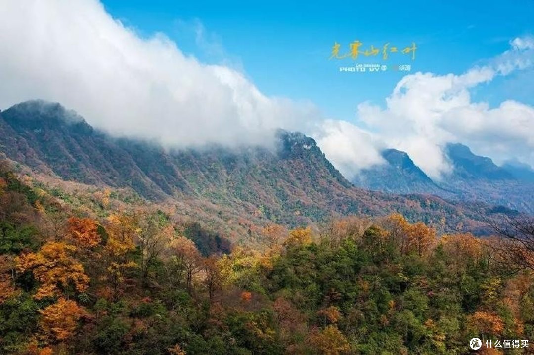 社会福利政策：如何影响国民生活与经济发展