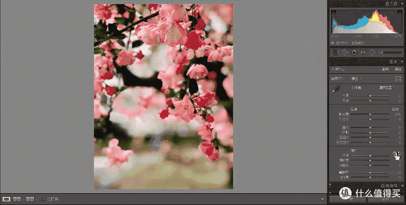 在 Adobe Lightroom Classic 中流畅地编辑图像
