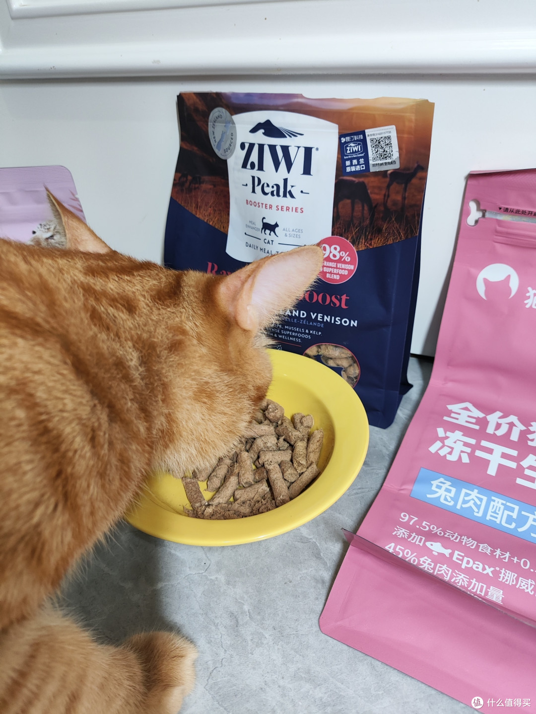 这三款冻干,小猫们pick哪一个?