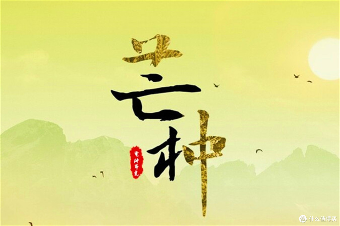 今日芒种,不论穷富,别忘“吃3宝,喝2汤”,健康度过“毒五月”