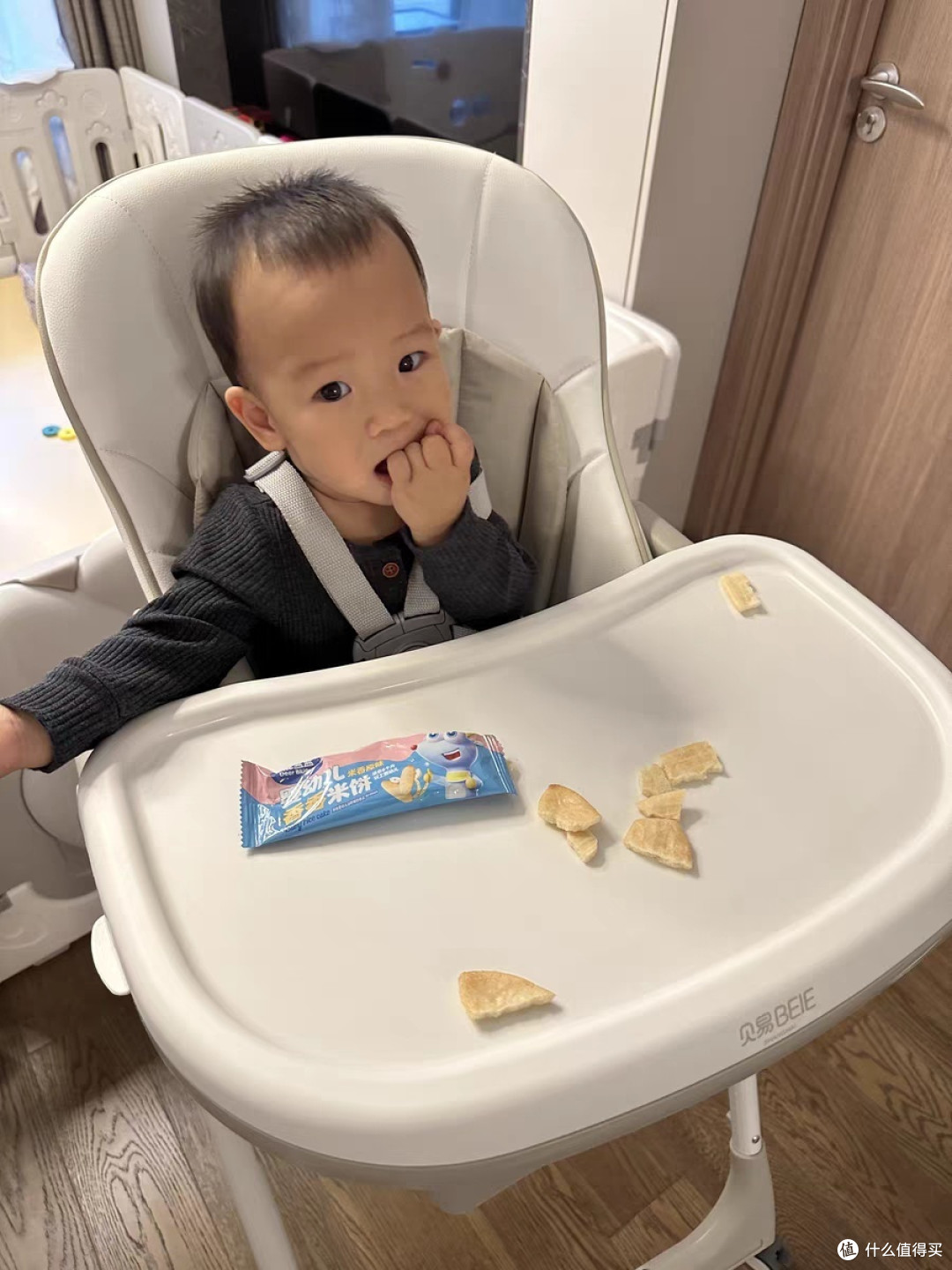 贝易贝壳餐椅