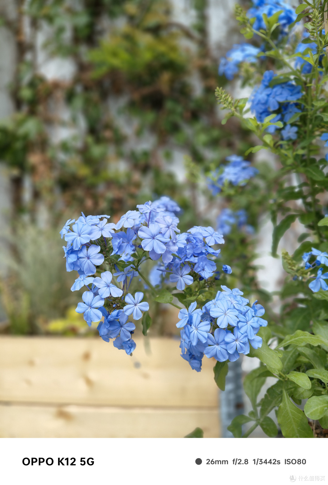 不只是能砸核桃，耐用抗造的OPPO K12综合体验