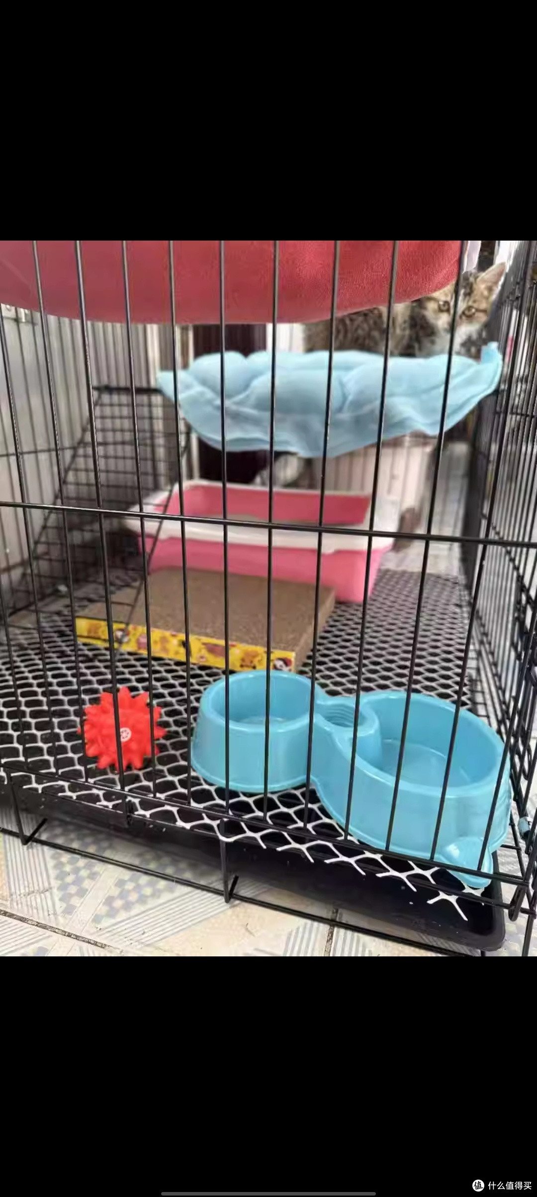 猫笼家用室内带厕所一体超大自由空间猫咪猫窝猫舍清仓猫笼子别墅
