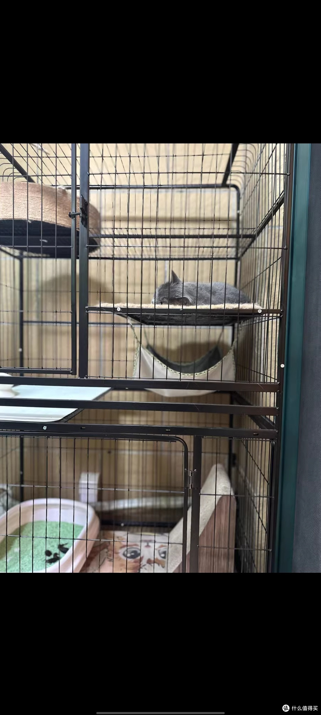 猫笼家用室内带厕所一体超大自由空间猫咪猫窝猫舍清仓猫笼子别墅