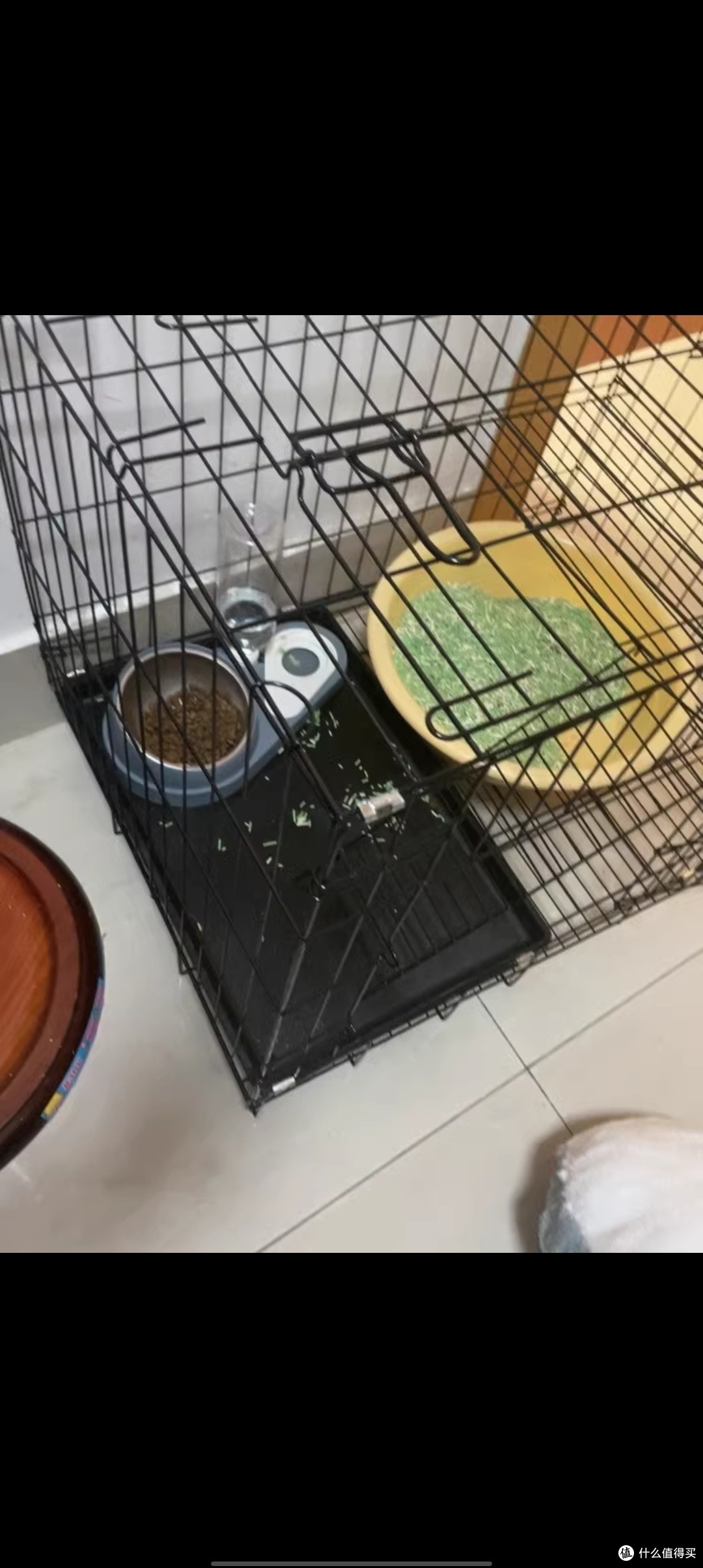 猫笼家用室内带厕所一体超大自由空间猫咪猫窝猫舍清仓猫笼子别墅