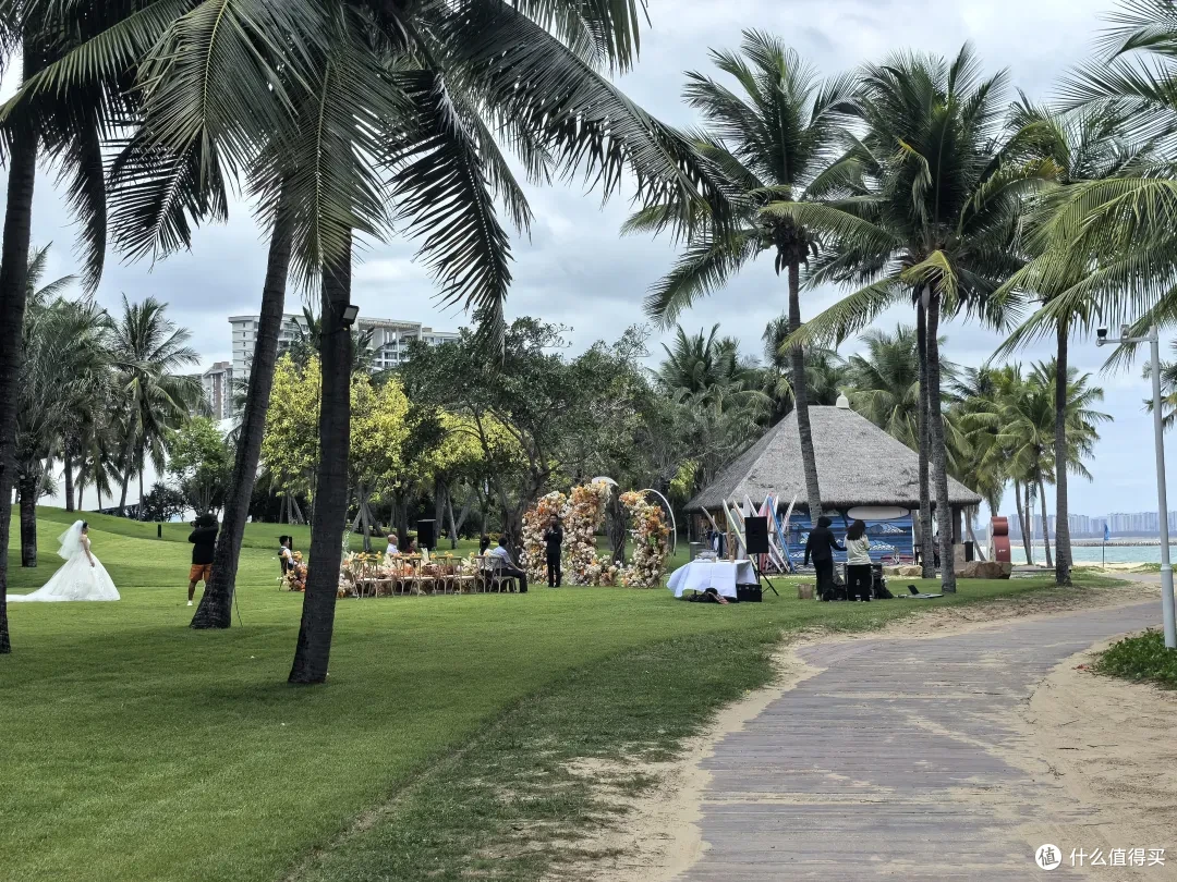 几十万网红都想要打卡的清水湾莱佛士酒店,确实值得