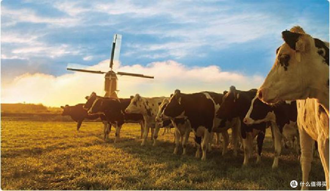 最新出炉！2024年奶粉排行榜前十位，宝妈必看