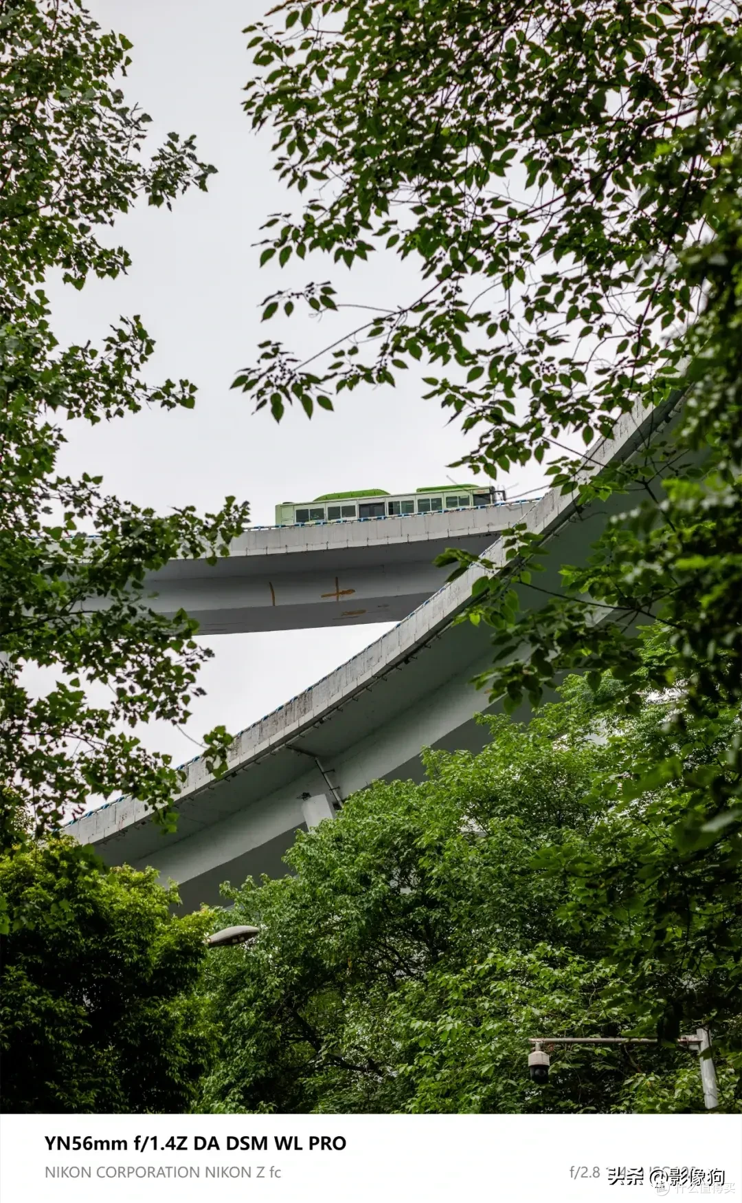 尼康Z fc人像镜新选?永诺56mm F1.4 Z DA DSM WL Pro