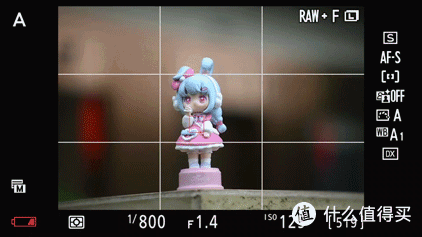 尼康Z fc人像镜新选?永诺56mm F1.4 Z DA DSM WL Pro
